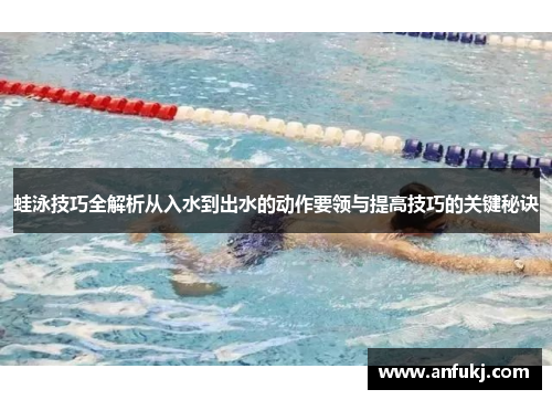 蛙泳技巧全解析从入水到出水的动作要领与提高技巧的关键秘诀