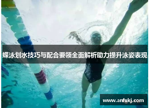蝶泳划水技巧与配合要领全面解析助力提升泳姿表现